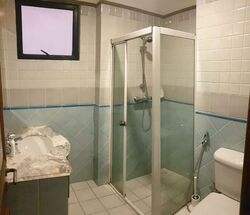 Dover Parkview (D5), Condominium #458035951